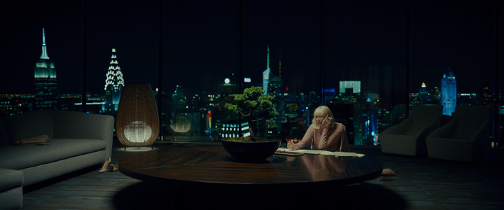 guess this movie snapshot