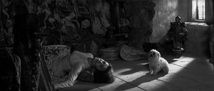 guess this movie snapshot