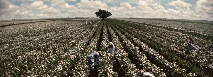 guess this movie snapshot