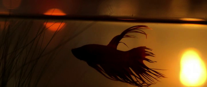 guess this movie snapshot