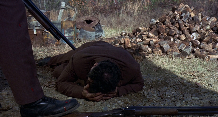 guess this movie snapshot