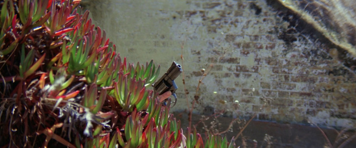 guess this movie snapshot