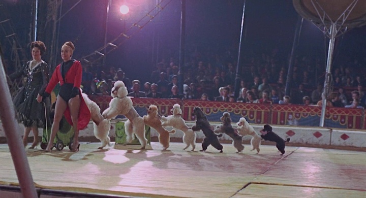 guess this movie snapshot