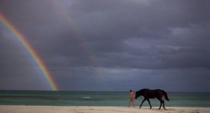 guess this movie snapshot