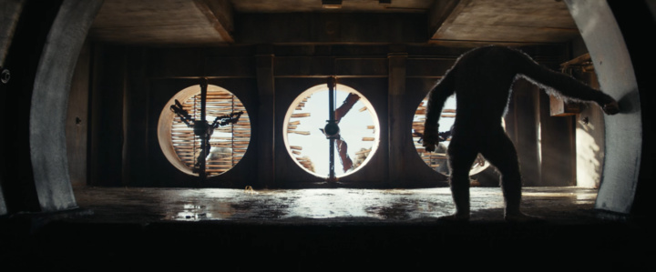 guess this movie snapshot