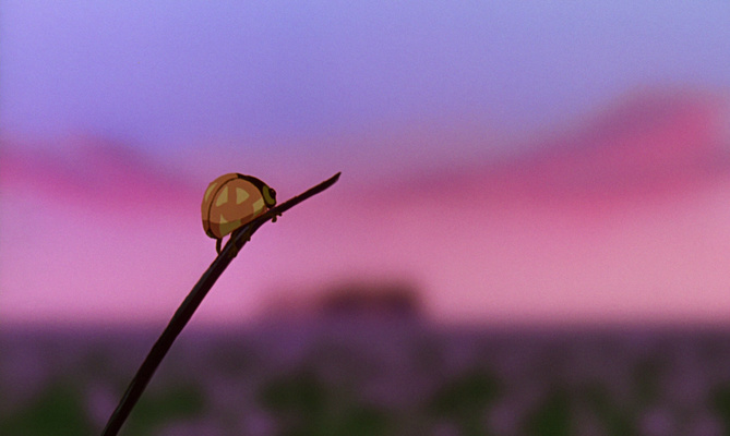 guess this movie snapshot