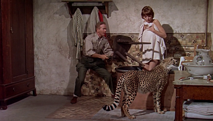 guess this movie snapshot