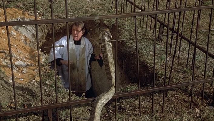 guess this movie snapshot