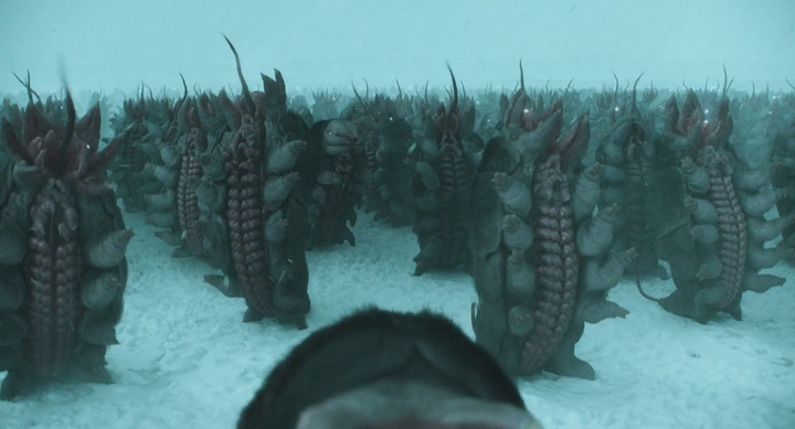 guess this movie snapshot