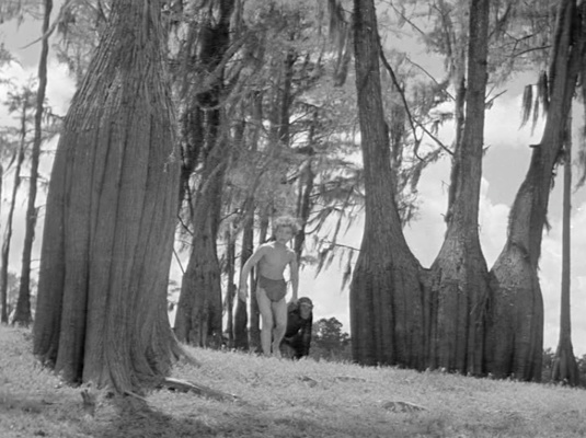 guess this movie snapshot