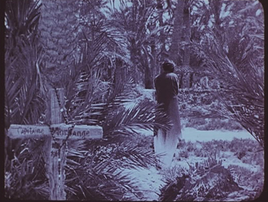 guess this movie snapshot