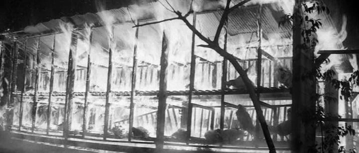 guess this movie snapshot