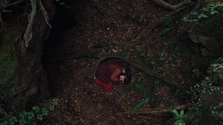 guess this movie snapshot