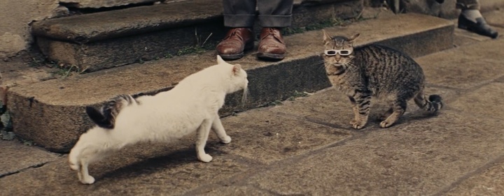 guess this movie snapshot