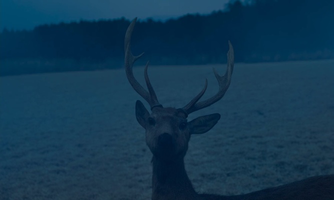 guess this movie snapshot