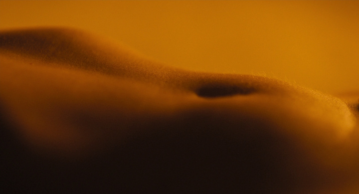 guess this movie snapshot